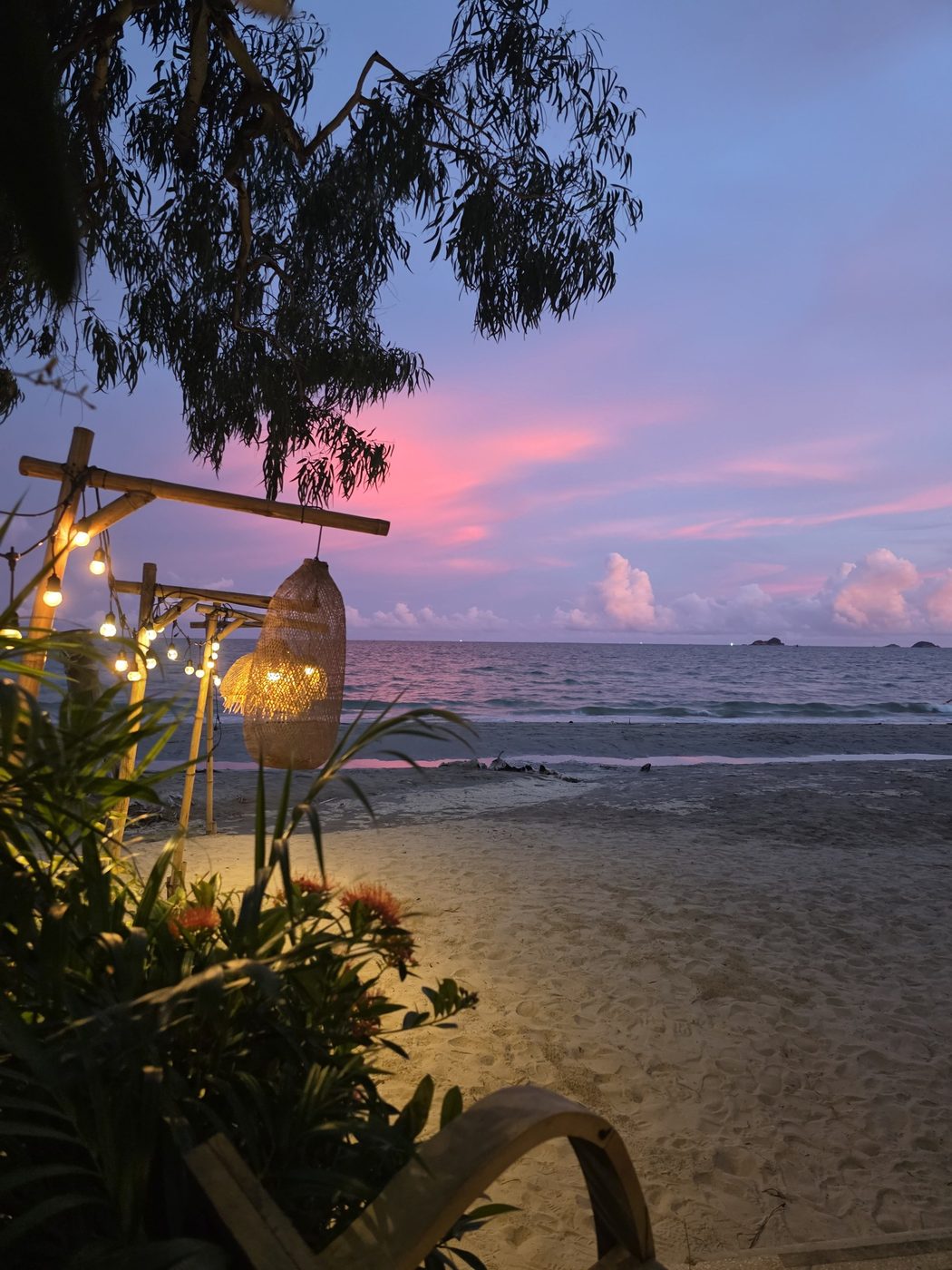 Beach at dusk under the trees